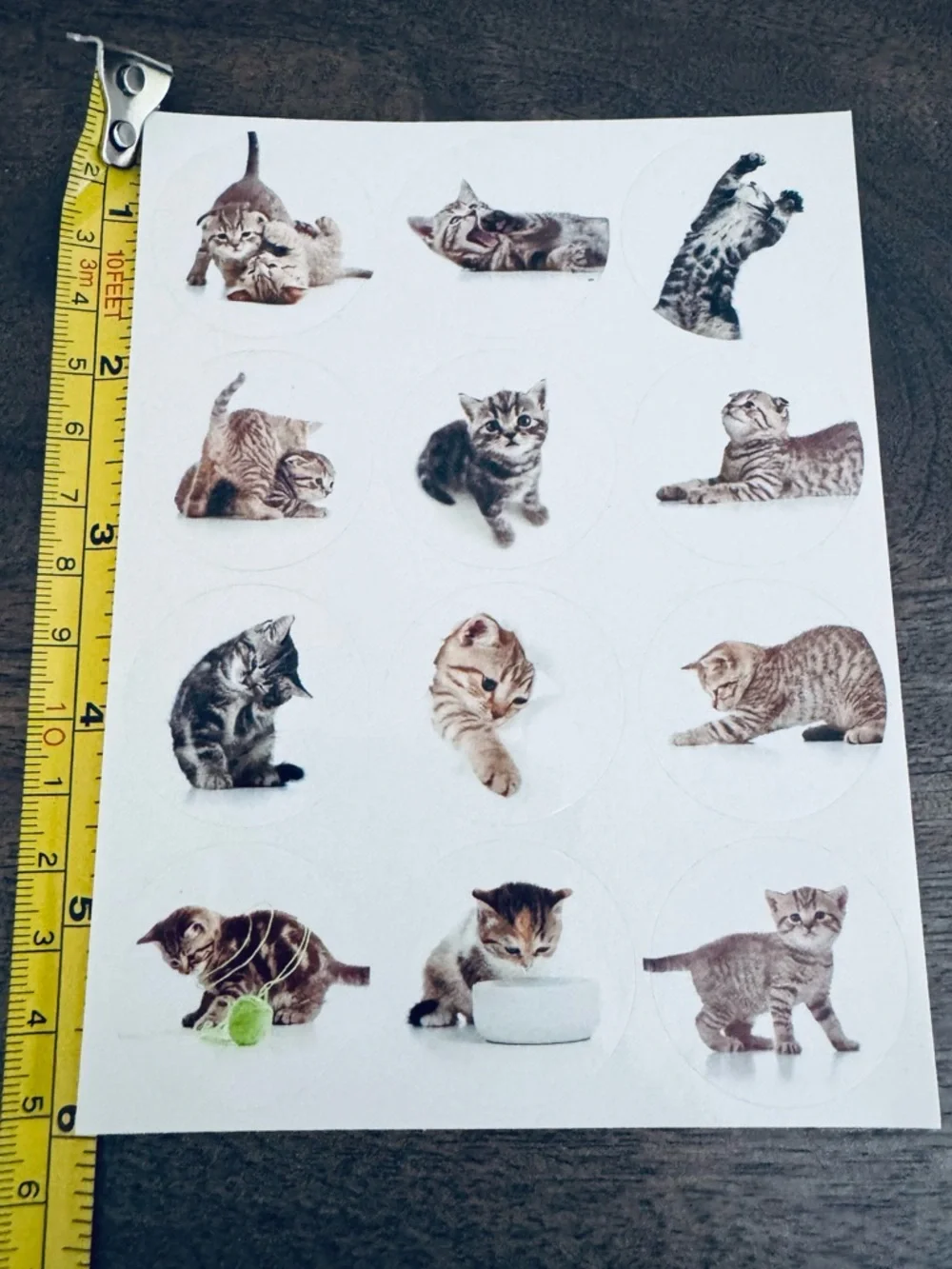 Adorable Cat Stickers